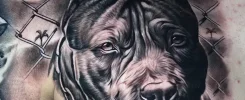 ¿Por qué pica un tatuaje?