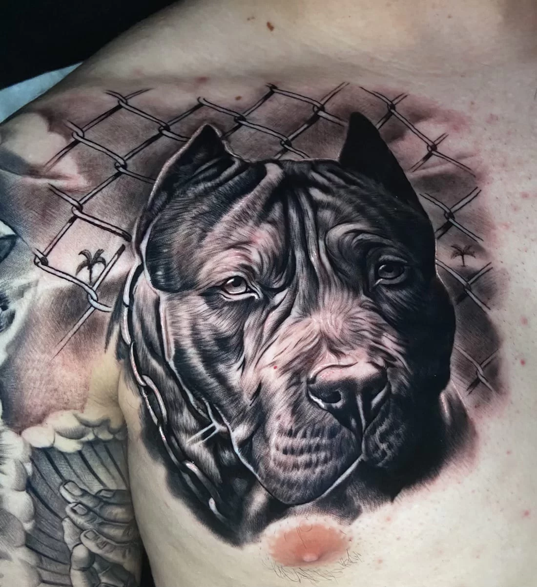 ¿Por qué pica un tatuaje?